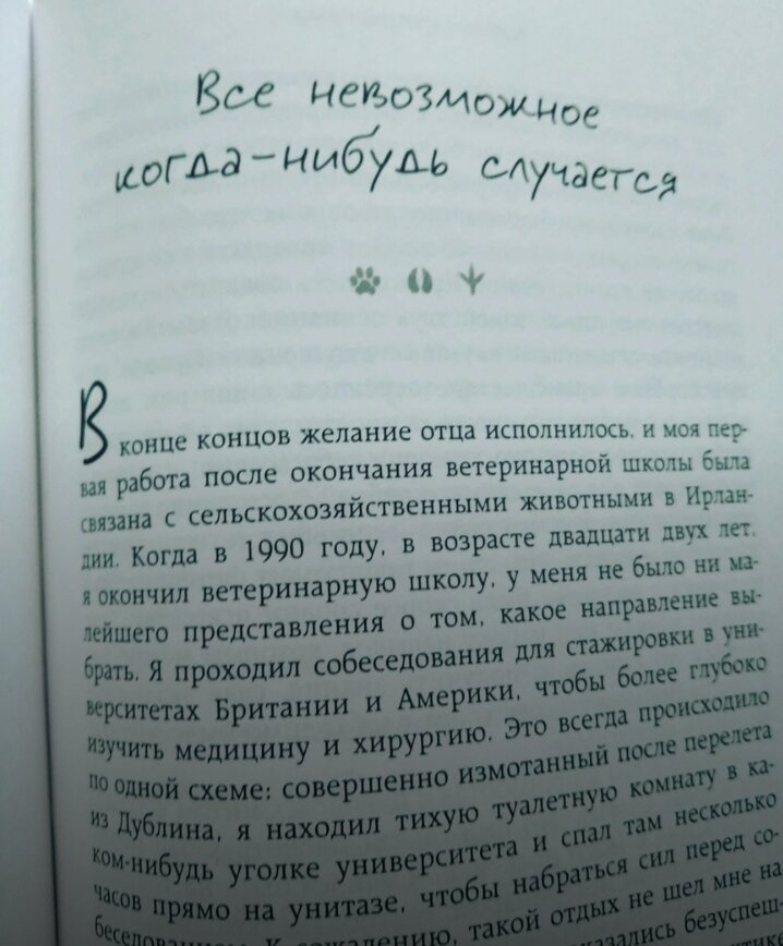 Книжные страницы