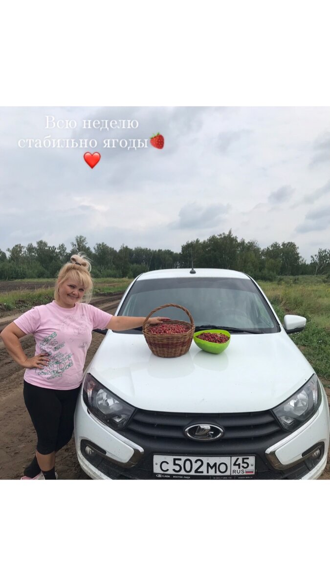 Всю неделю собираем ягоды, корзина на 12 литров собирается меньше, чем за час!!! Этим летом богата Курганская область ❤️🍓👍