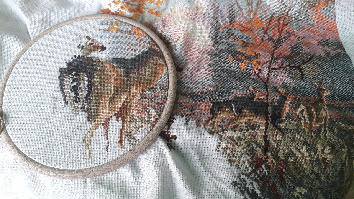 Сюжет осенний, надо успеть