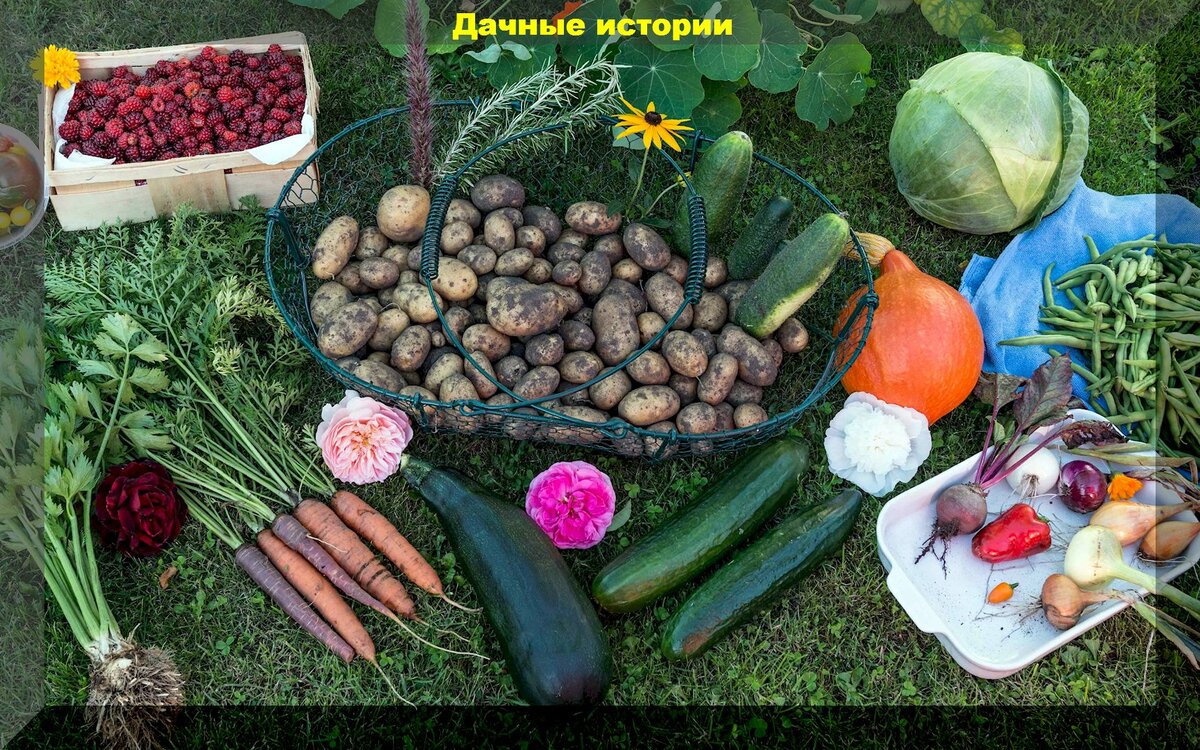 https://vk.com/photo-159774511_457254729