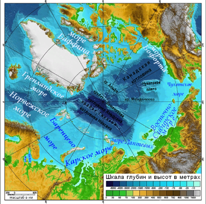 Арктический шельф Евразии.Интернет