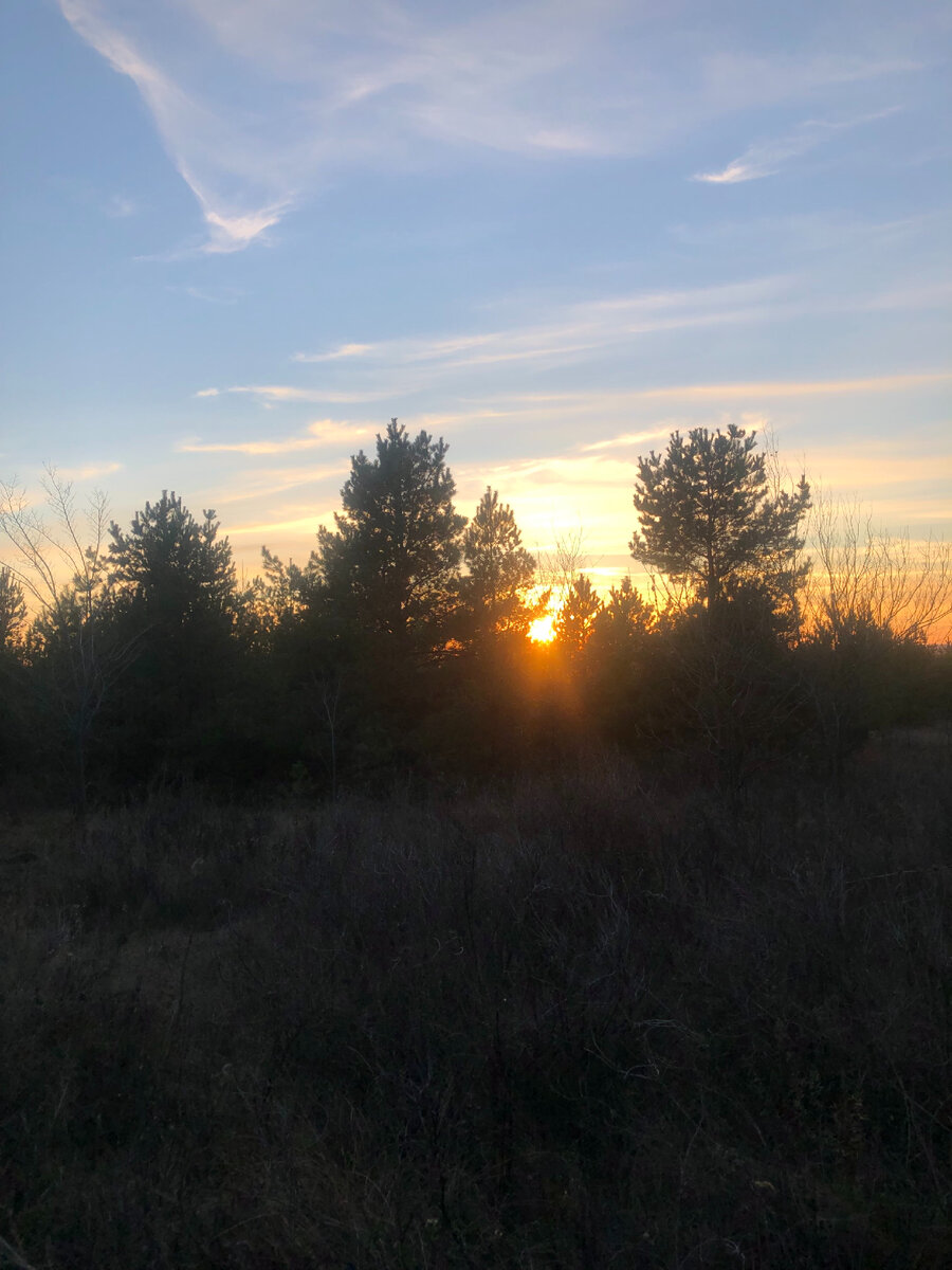 А сейчас мы в лесу! Тут так классно!!!