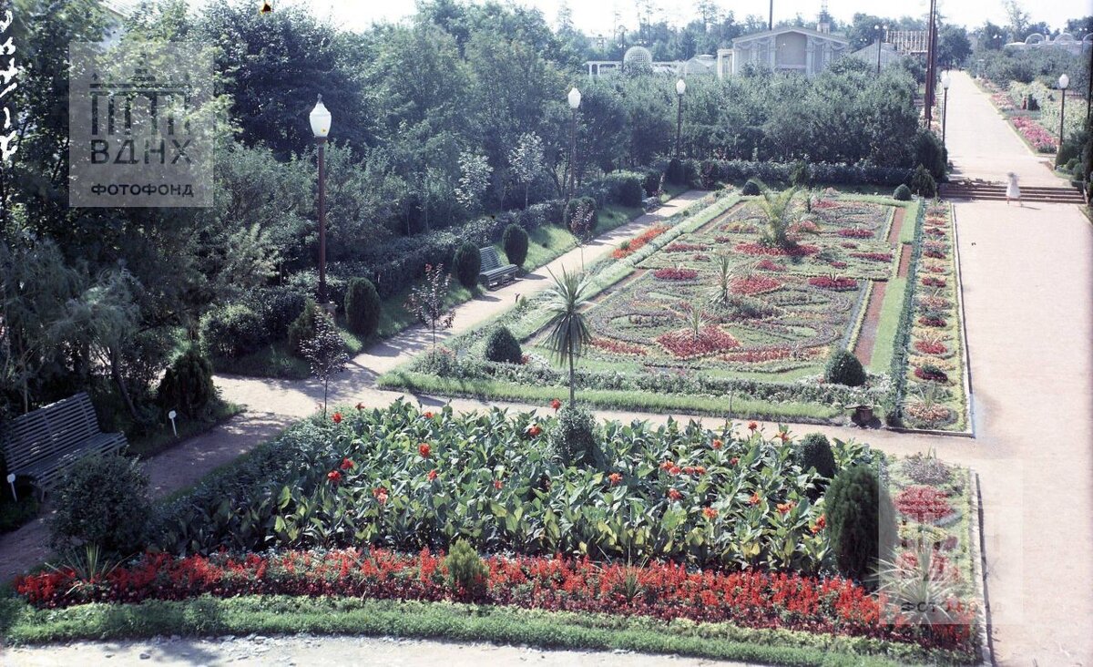 Павильон "Цветоводство". Клумба. Дата: 1954 год. Источник: Музей ВДНХ

