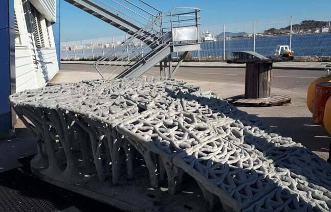 Искусственный риф будет служить и площадкой для вездехода, и местом обитания для местных организмов.