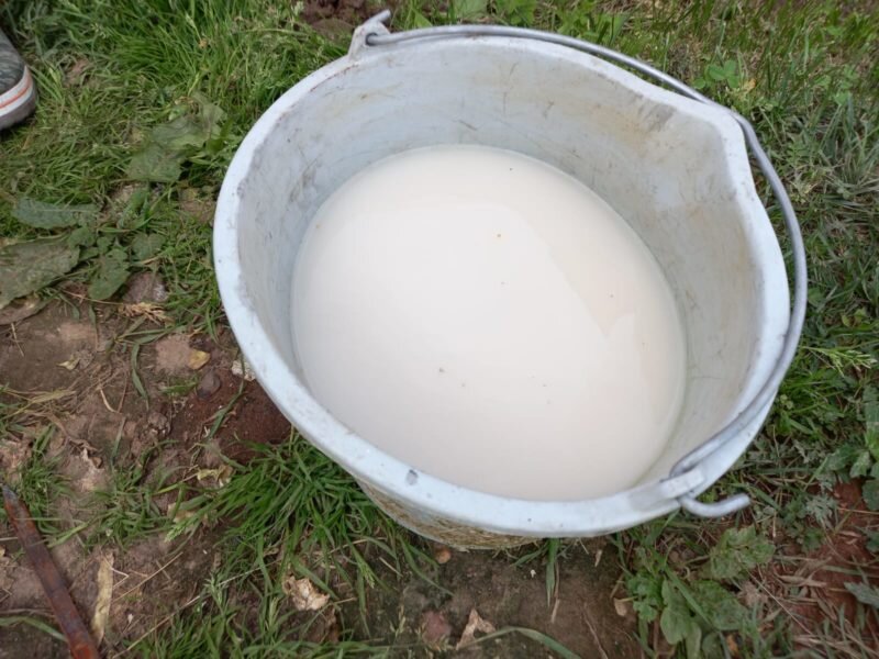 Дрожжевая подкормка