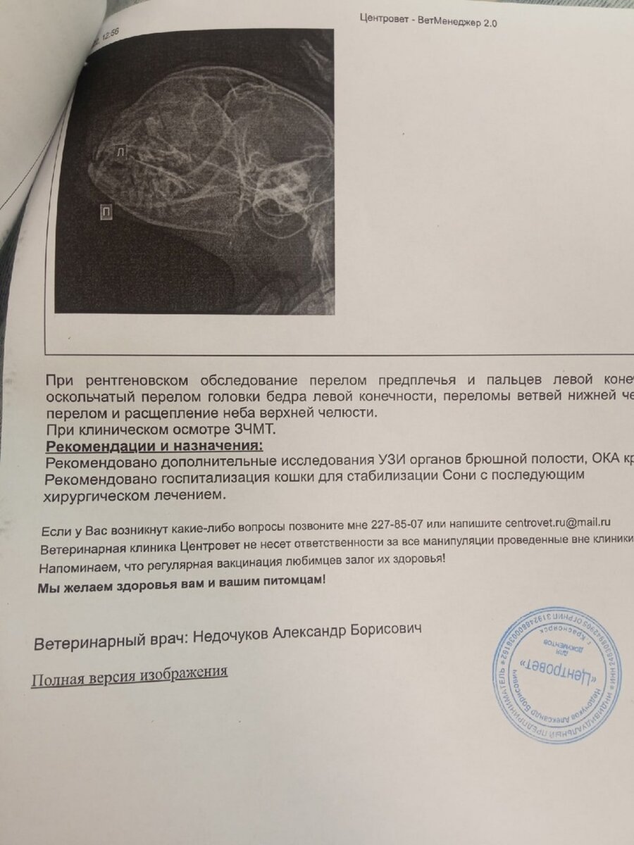     У Сони - перелом челюсти, нёба... Фото "Доброе сердце. Лесосибирск".