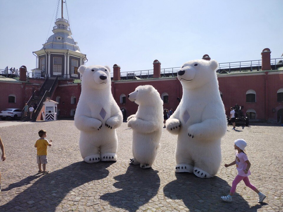     Медведям Арктического салона стойко выдержали петербургскую жару. Арина МИФТАХУТДИНОВА