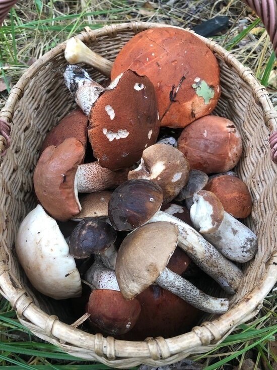     Фото "Подслушано в Рыбинске"