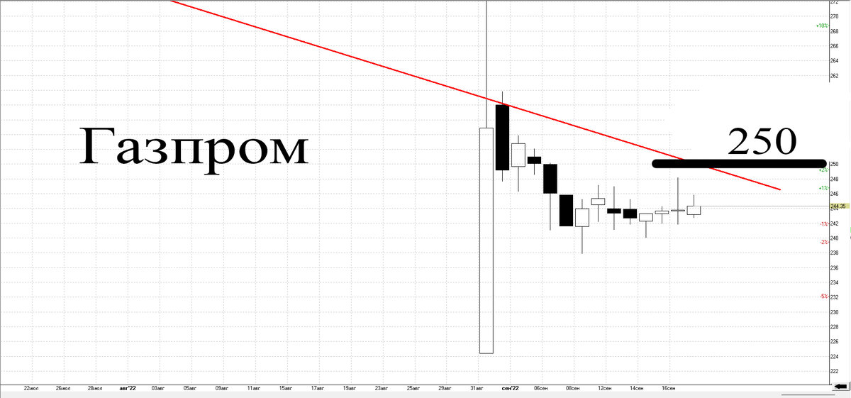 Дневной график