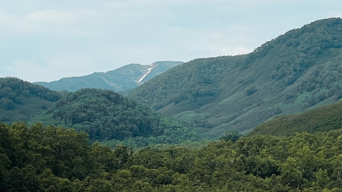 На горе увертыш. Сокол гора. Сокол Крымский.