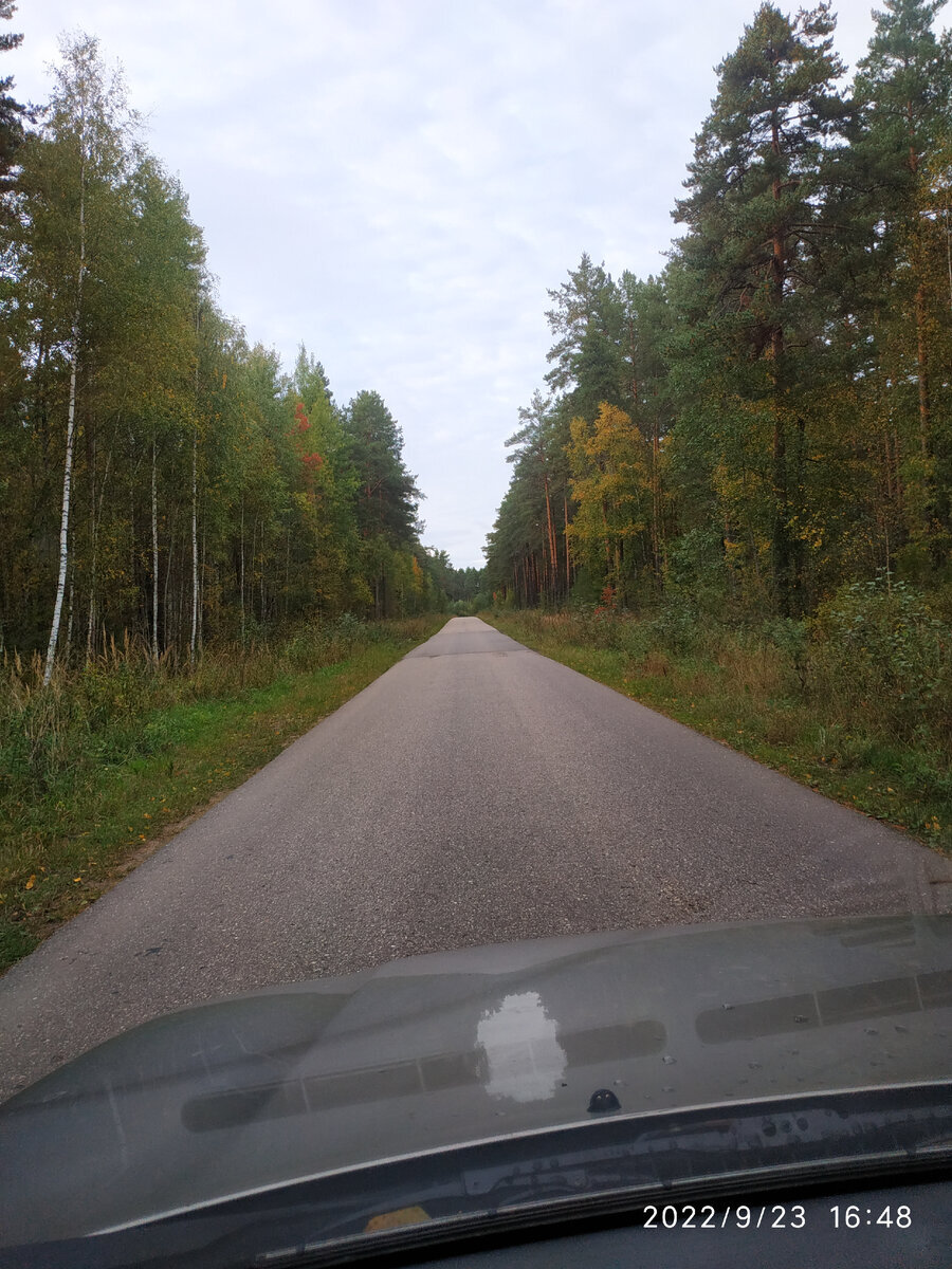 окрестности села Медное