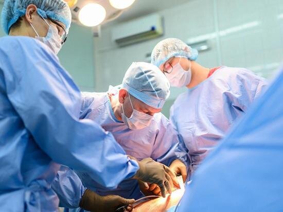     фото пресс-службы ниито