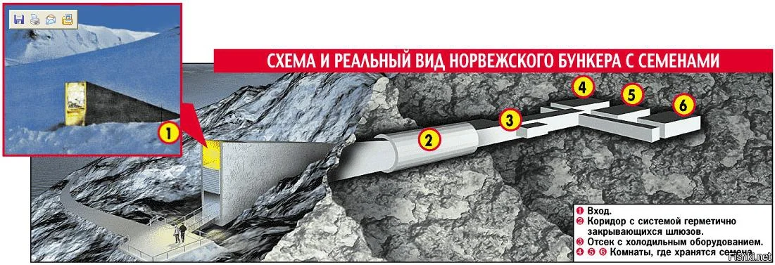 Фото из интернета