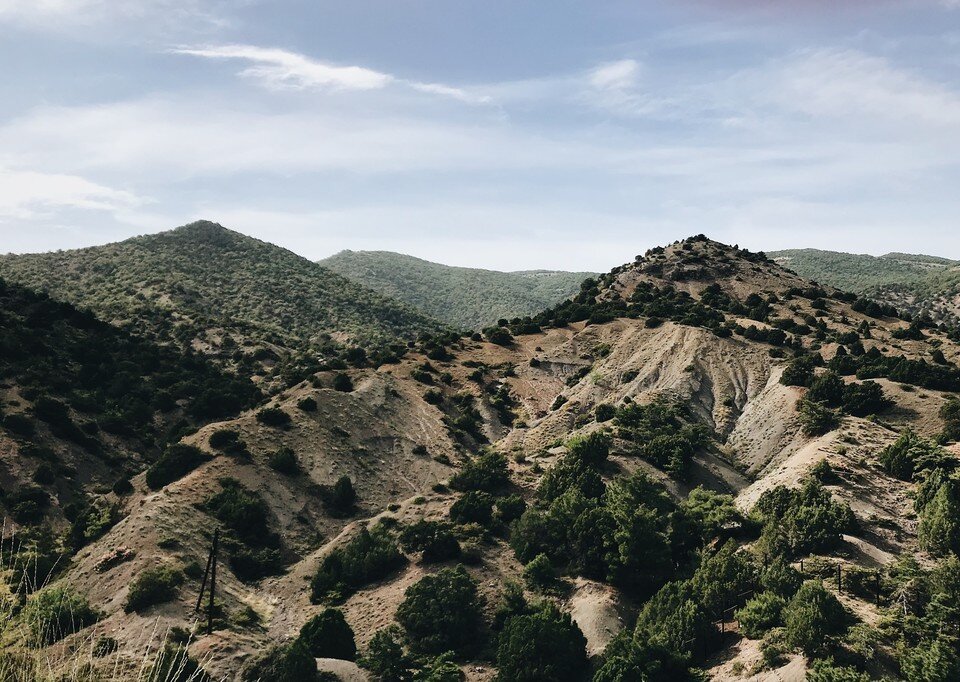     Гостью из Москвы обнаружили сегодня около 13:00 Мария БЕРК