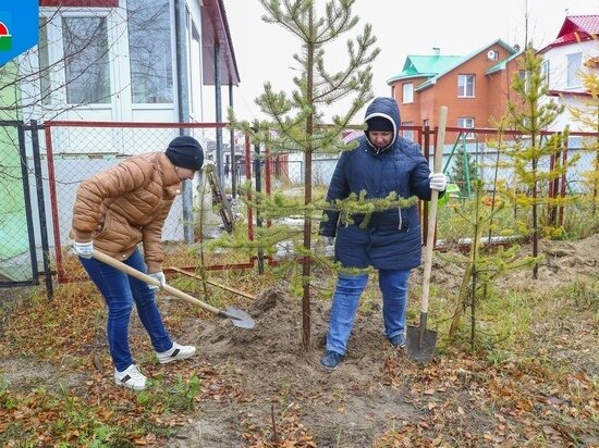     Фото: администрация Надымского района