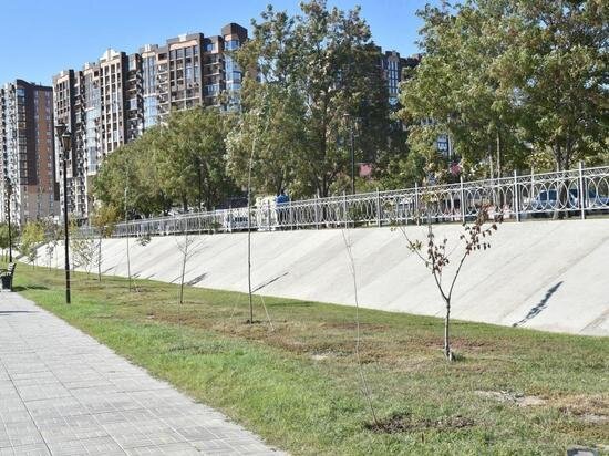     В центре высадили молодые тополя и акации Пресс-служба администрации Астрахани