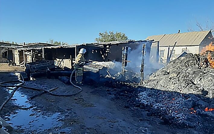    В Домбаровском районе пожарные не допустили перехода огня на жилые дома Кристина Просвиркина