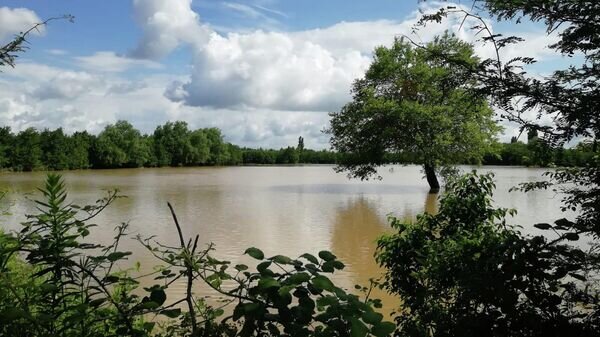   © Courtesy of City Hall of Abasha Municipality