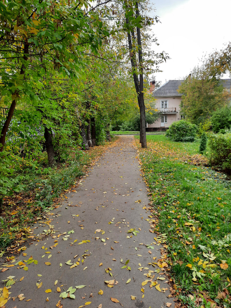 Осень в моем городе