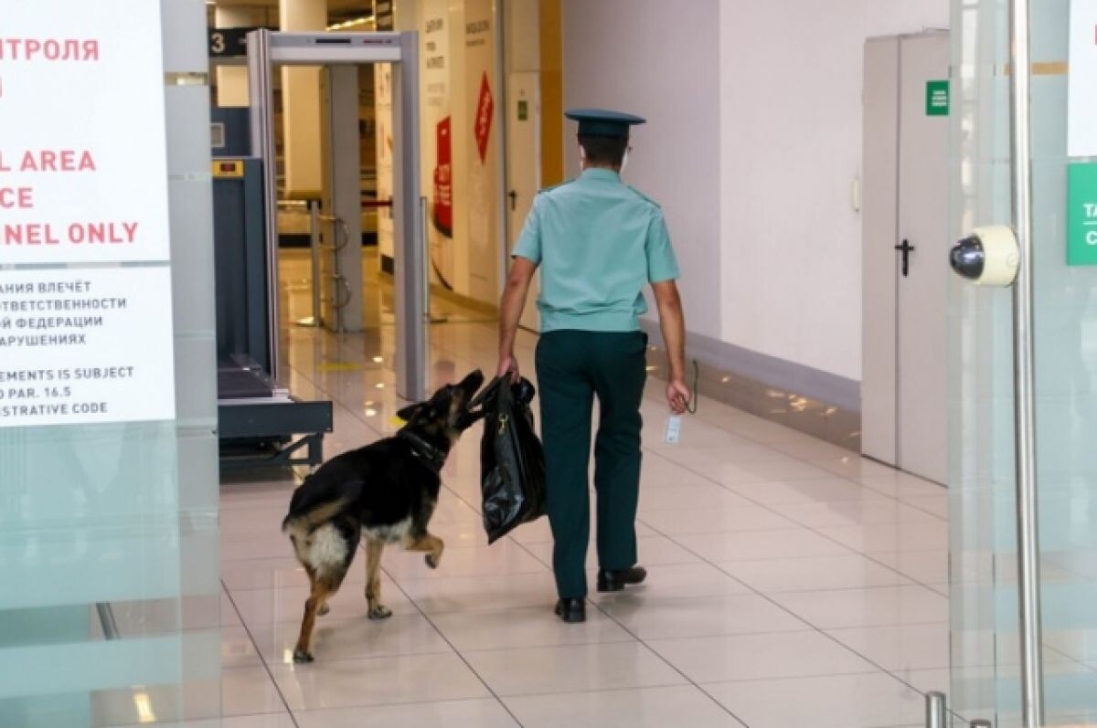    В 44-й раз по Крыму прошла волна сообщений о минировании