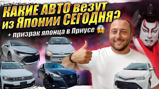 Оптовые поставки авто из Японии❗CROWN ❗Tiguan❗Vezl❗Filder❗ProBox❗