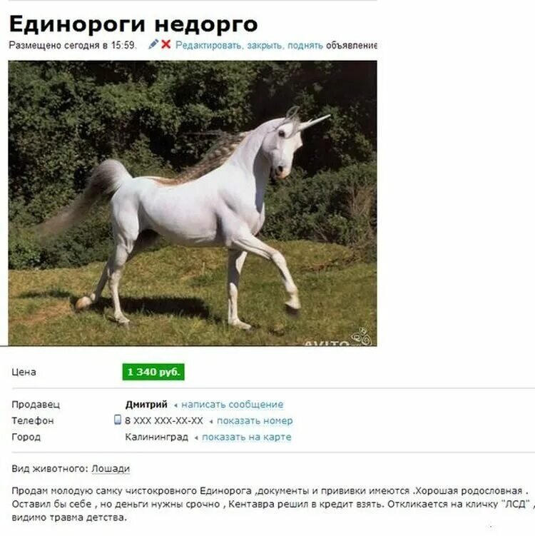 Картинка из интернета 