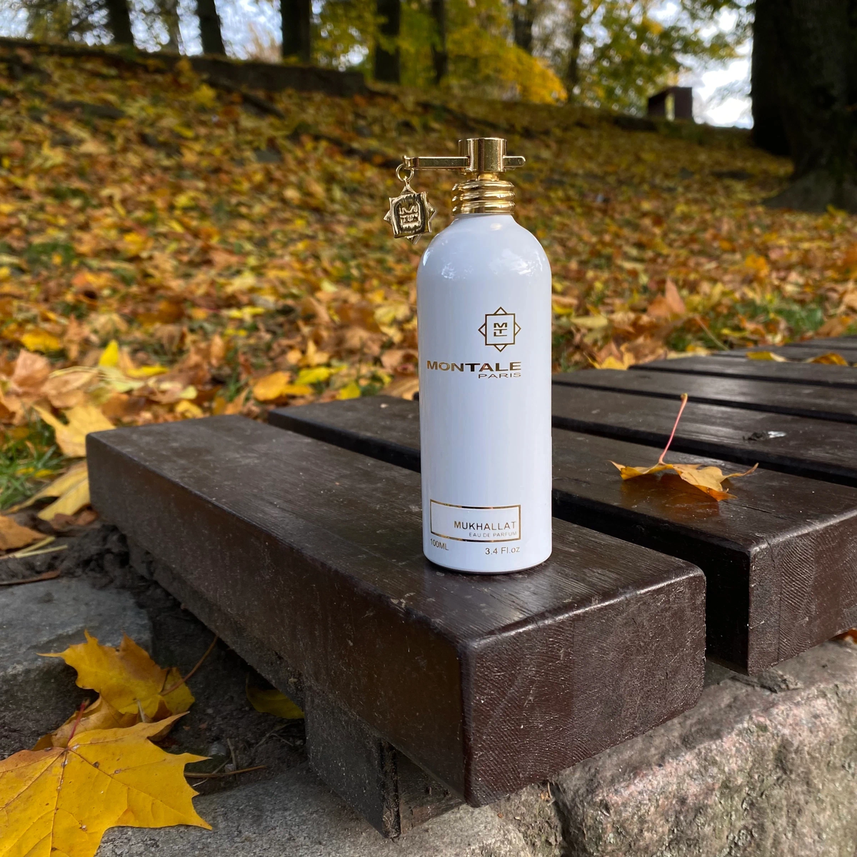 Montale Mukhallat украшает парк на Нижнем озере (Калининград)