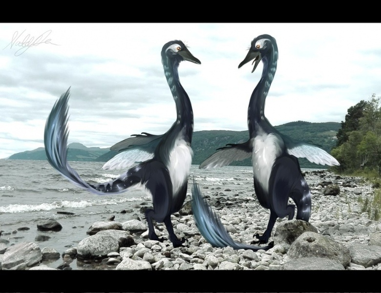 Заставка для телепередачи «В мире меловых животных».