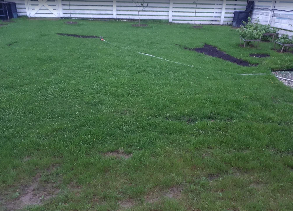 Фотография взята из источника blagoveshensk.com