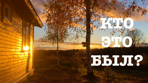 #110. Стройка полным ходом. Медведь на участке?! [Жизнь на своей земле ...