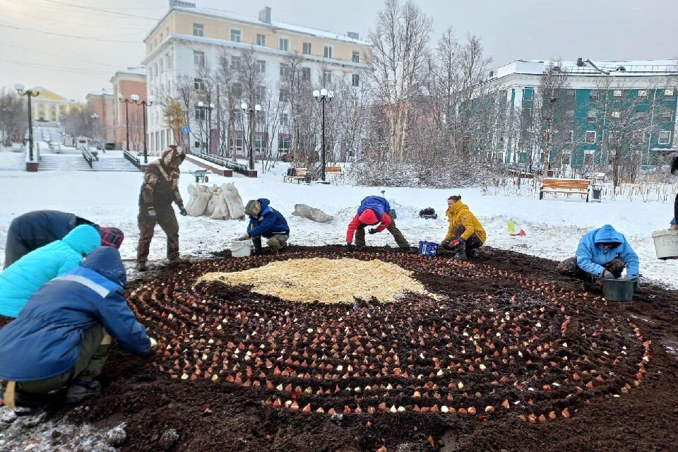     Работы идут в рамках договора с администрацией города. Фото: vk.com/virvavilov