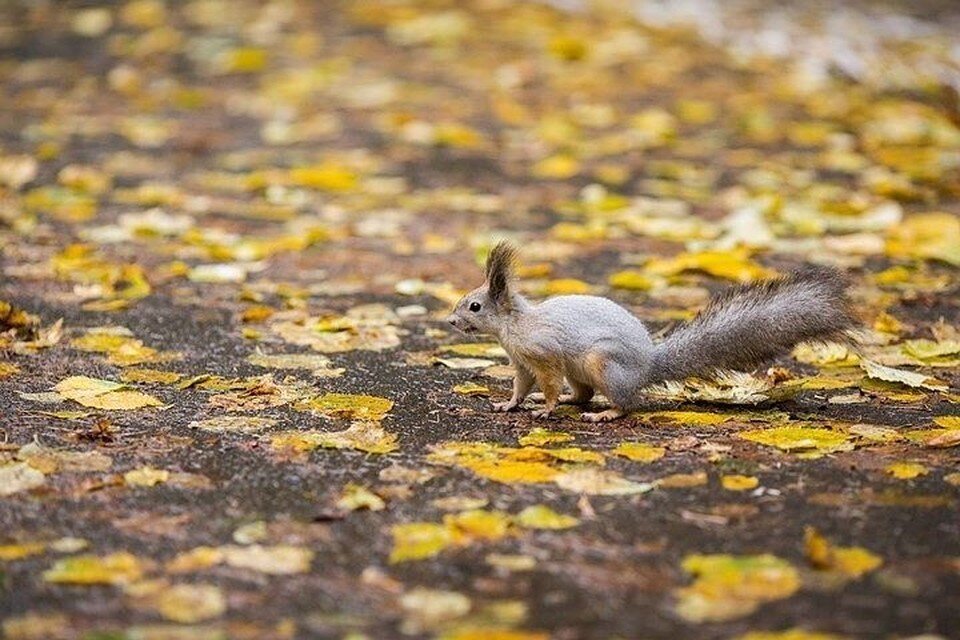     В выходные погода будет на 7 градусов теплее климатической нормы Валерий ЗВОНАРЕВ