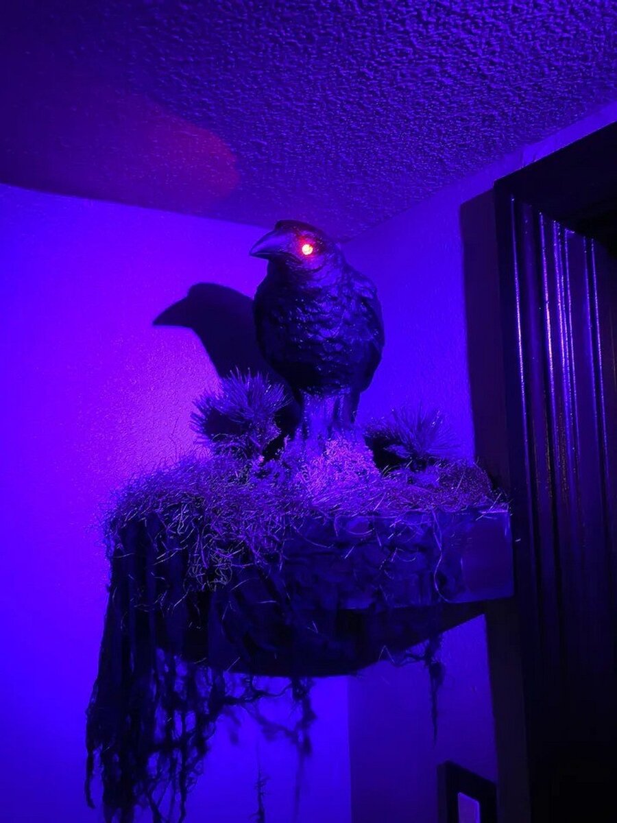    Airbnb/Haunted Mansion inspired Ghostly Retreat