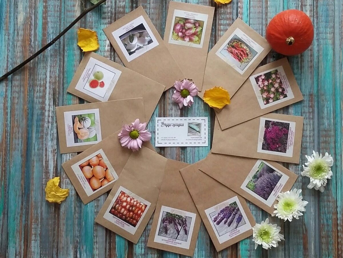 Фото: Алена Сахарова