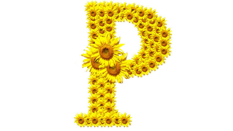    Как научить ребенка выговаррривать «рррр»? Фото: NattyPTG, Shutterstock.com