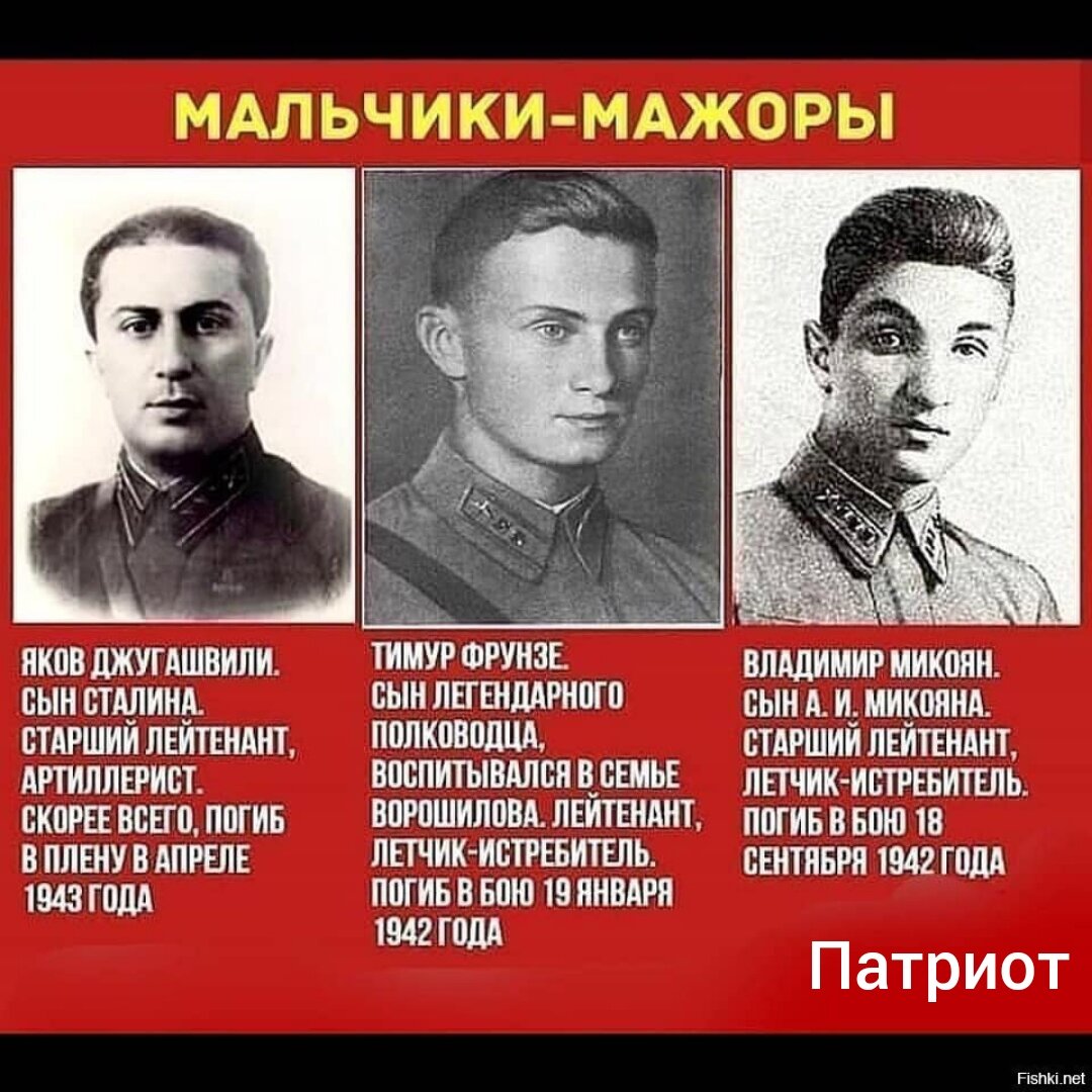 Дети Сталина Фрунзе Микояна