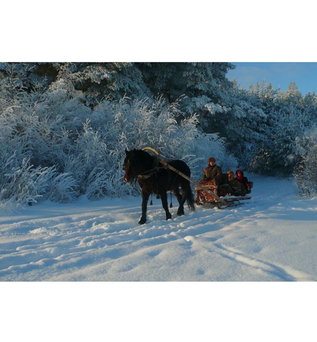  Мороз и Солнце день чудесный... 