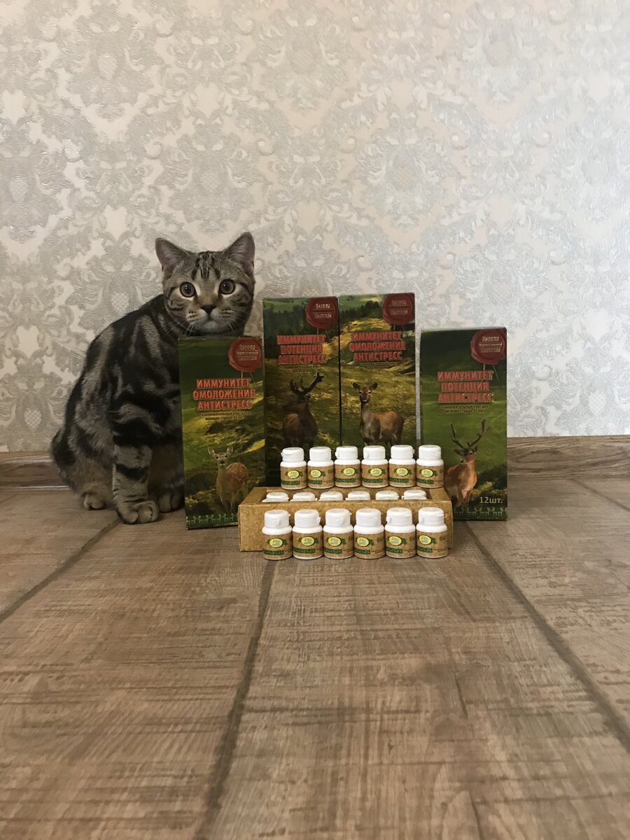 Кот представляет продукцию для мужчин и женщин
