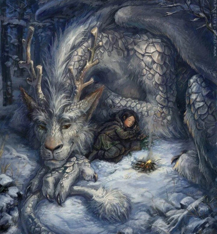 Фото взято из интернета 