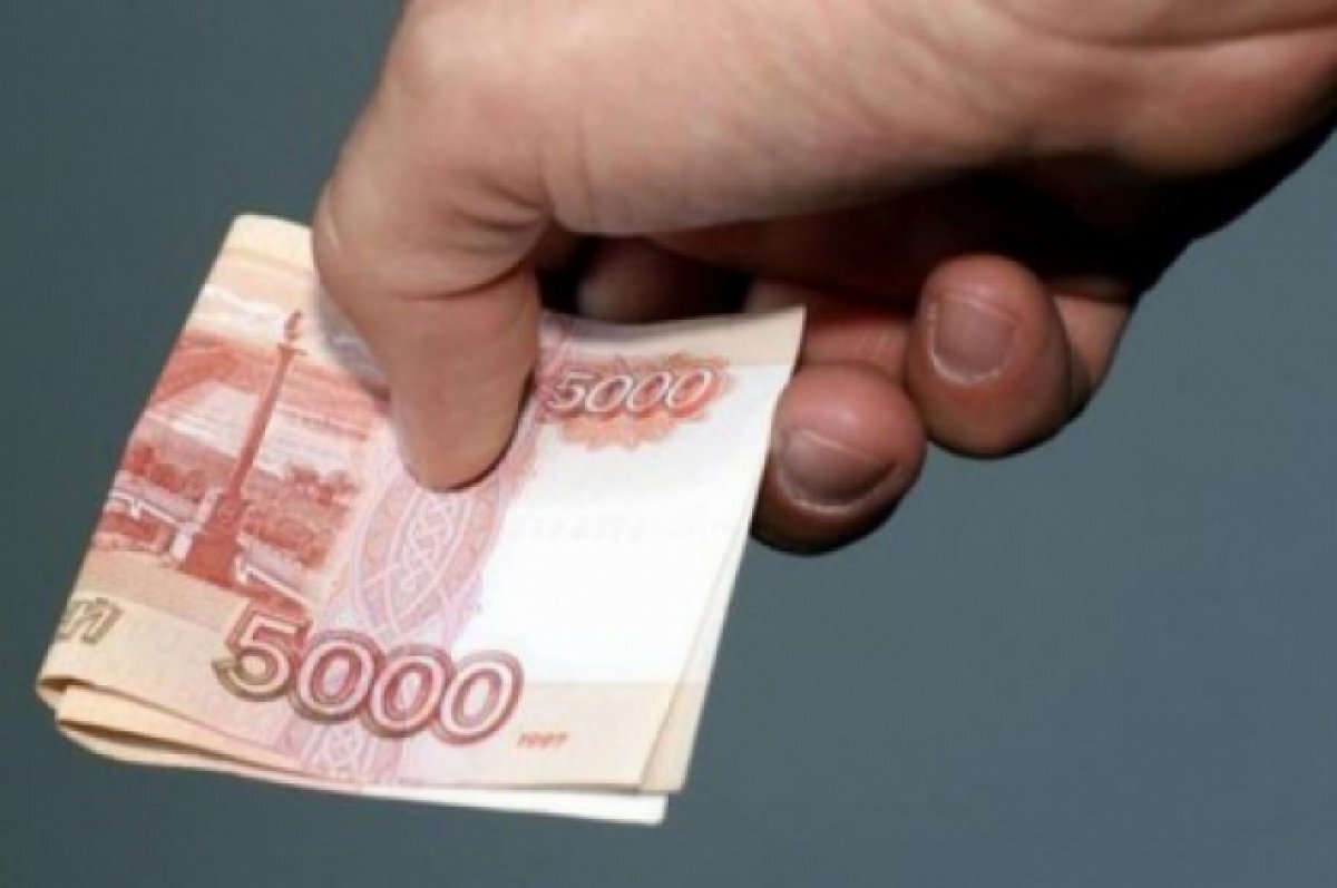    В Пензенской области в 2022 году выявили больше коррупционных преступлений