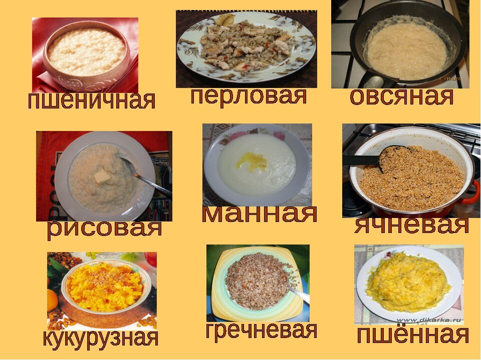 Все открытые уроки каши