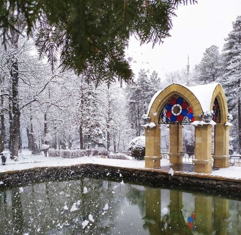 Фото Ольги Арефьевой