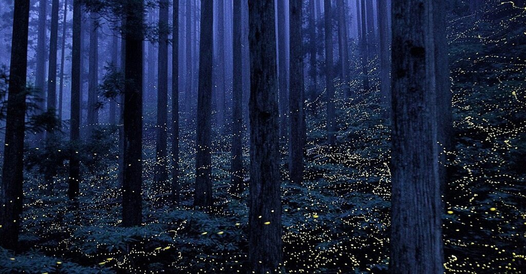 Фото: Nori Yuasa, fotostrana.ru/public