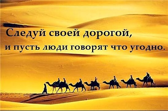мудрая мысль (заимствовано с просторов интернета)