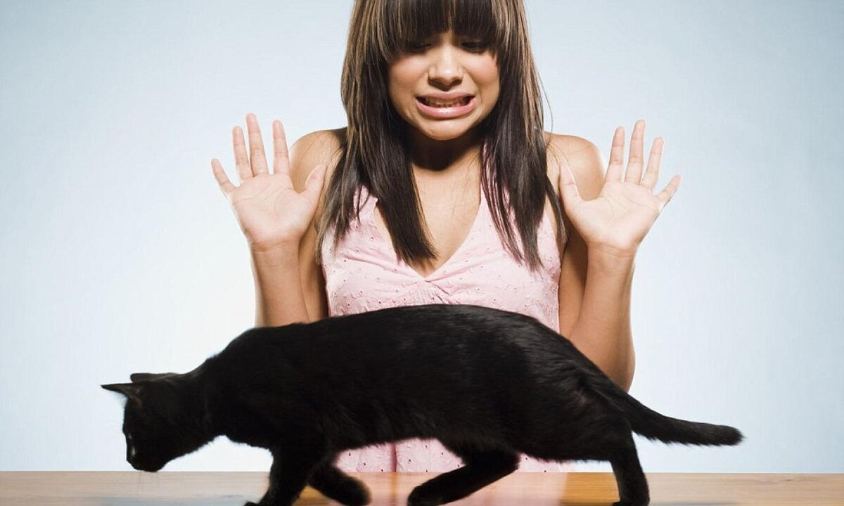 картинка из яндекса