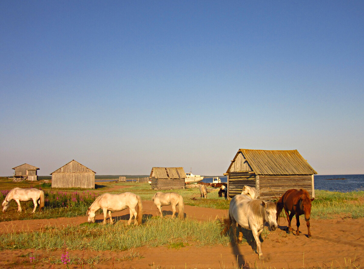 На окраине Чаваньги.