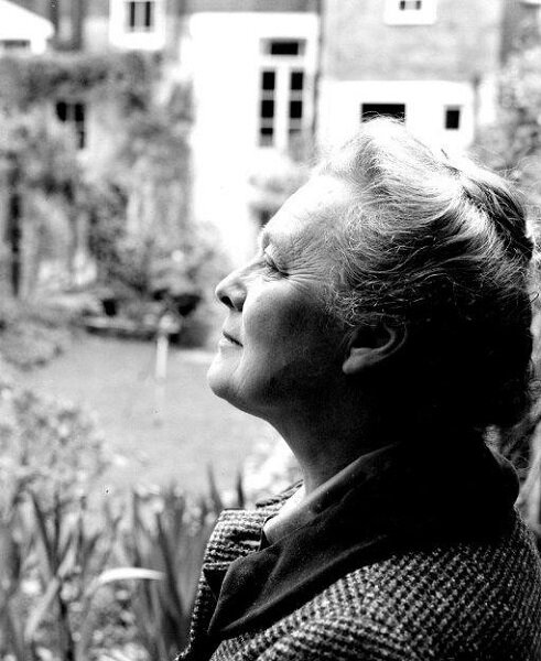 Изображение взято из открытых источников сети Интернет 