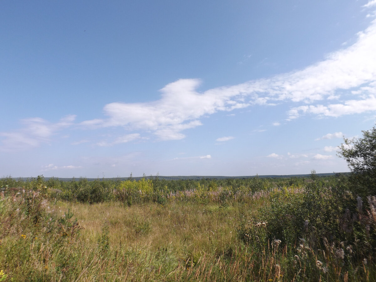 Шиловское болото и его просторы