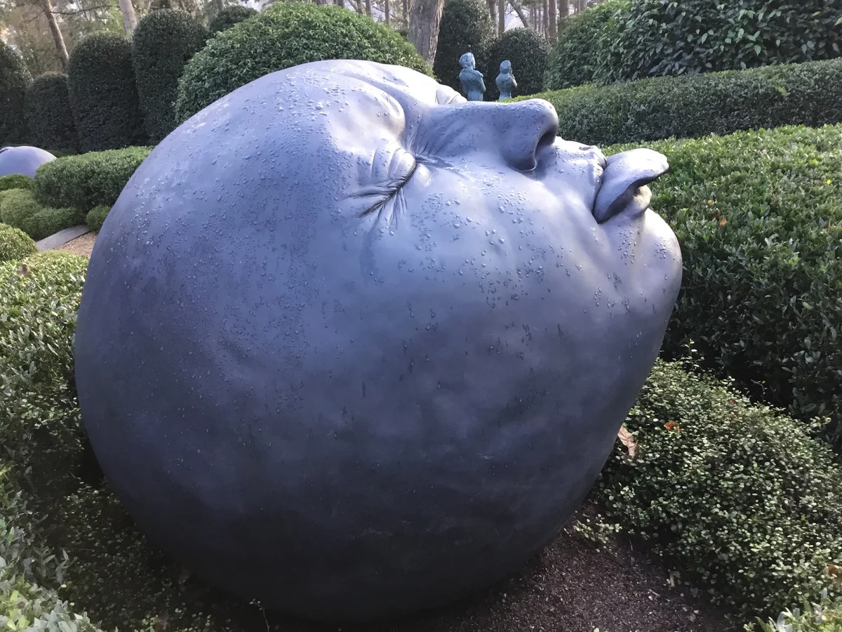 фото взято с яндекс.картинки 