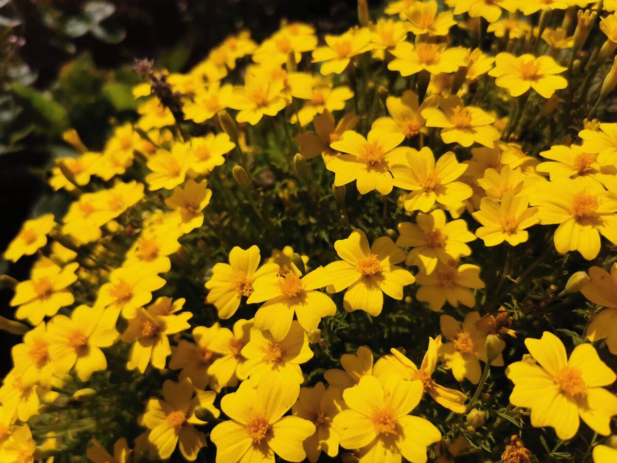 Это фото можно продать на фотостоках, например, по 1 копейке. Но 1000 раз! 